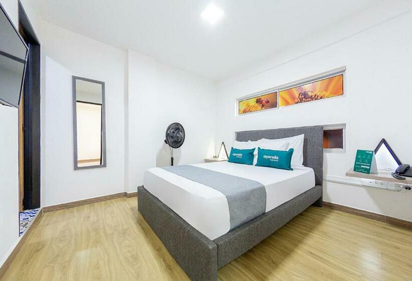 اتاق اکونومی, Ayenda Bee