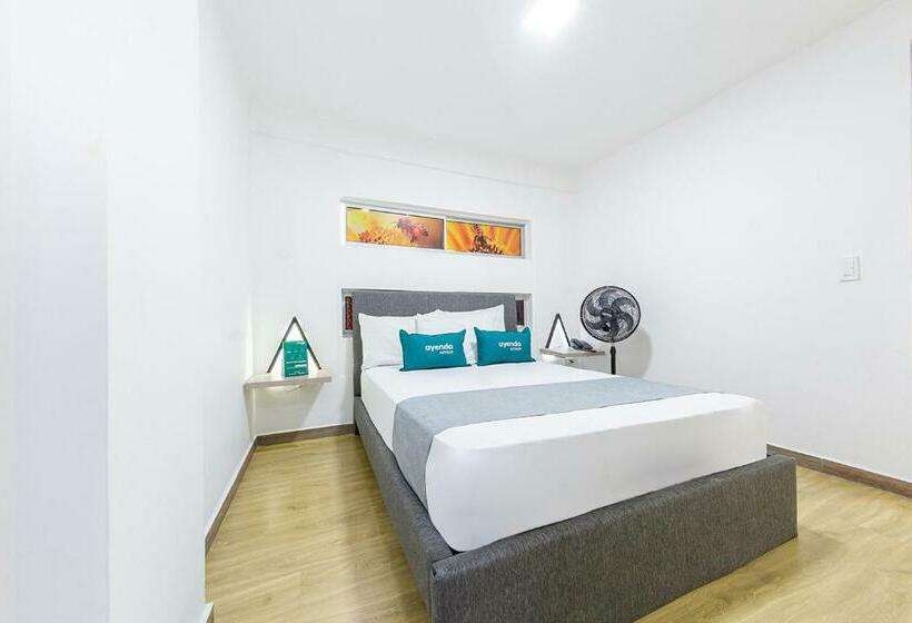 اتاق اکونومی, Ayenda Bee