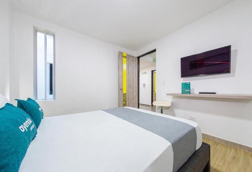 اتاق استاندارد, Ayenda Bee