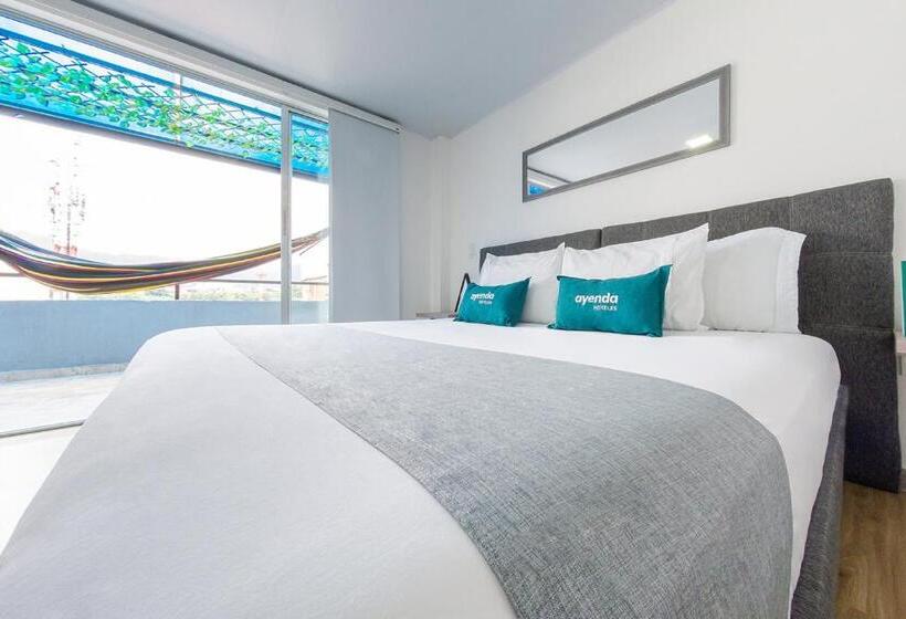 اتاق سوپریور, Ayenda Bee