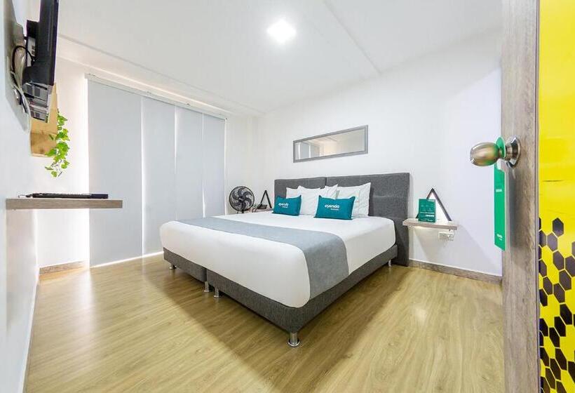 اتاق سوپریور, Ayenda Bee