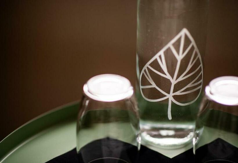 חדר סטנדרט יחיד, Lindenhof Ebnet