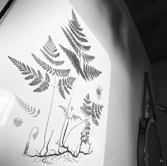 اتاق استاندارد, Agriturismo Missanega