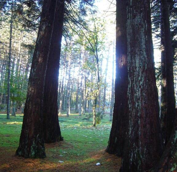 غرفة كمفورت مطلة على الجبل, Vallicciola Nature