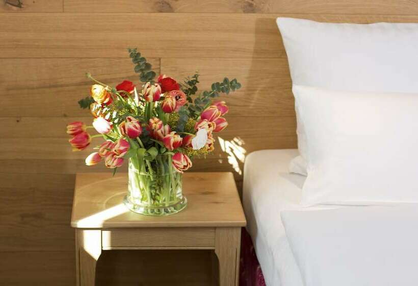 חדר סטנדרט, Eden Hotel Wolff