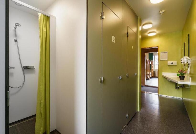 Кровать в Многоместном Номере с Общей Ванной, Chalet Hostel @ Backpackers Villa Interlaken