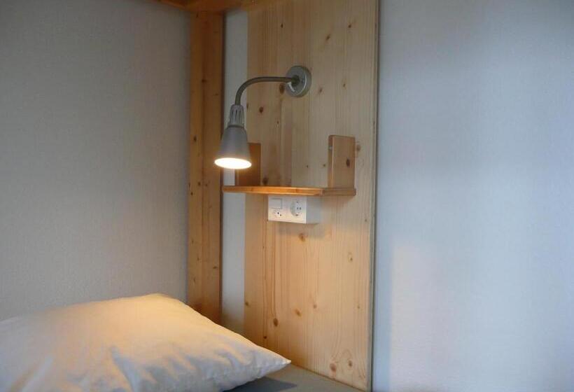 Кровать в Многоместном Номере с Общей Ванной, Chalet Hostel @ Backpackers Villa Interlaken