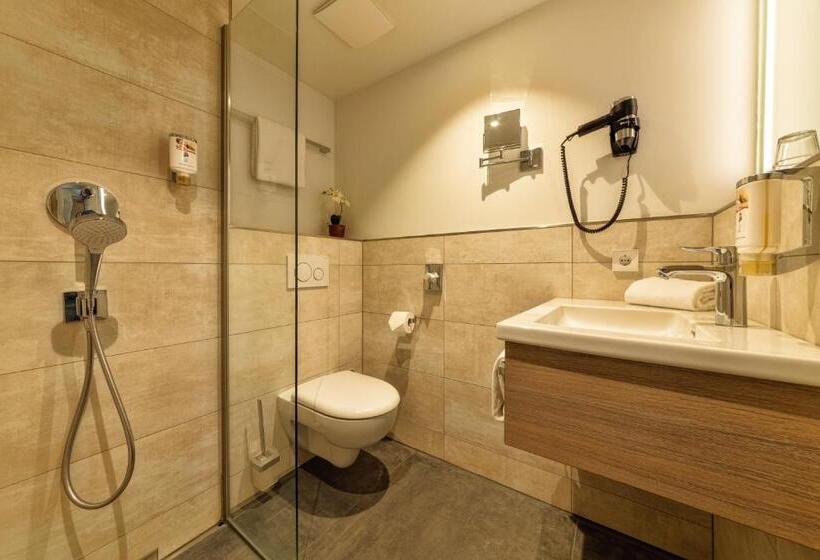 Номер Комфорт Индивидуальный, Cityclass Hotel Am Heumarkt