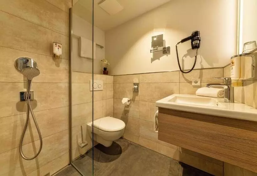 اتاق راحتی یک تخته, Cityclass Hotel Am Heumarkt