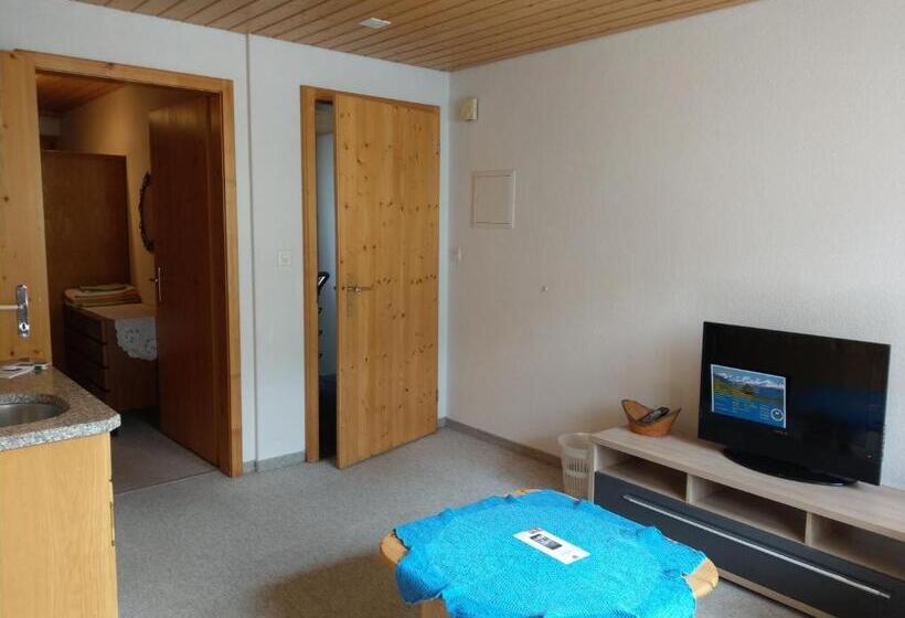 标准工作室, Gasthaus Schäfli