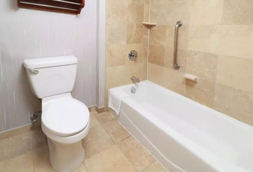 استودیوی استاندارد, Hampton By Hilton Chihuahua