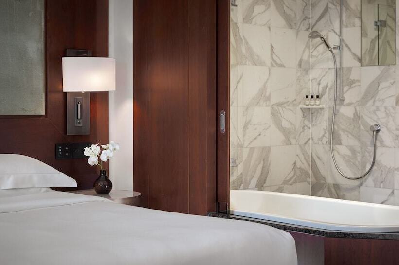 Standardrum, Park Hyatt Zurich – City Center Luxury