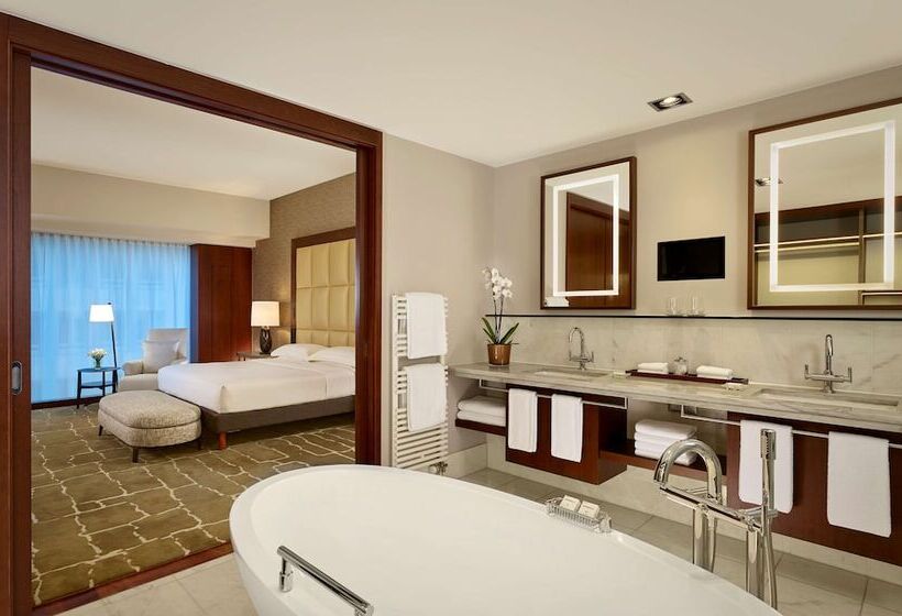 Svit, Park Hyatt Zurich – City Center Luxury