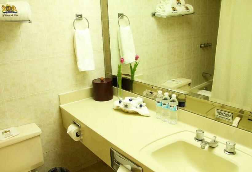 스탠다드 룸, Plaza De Oro