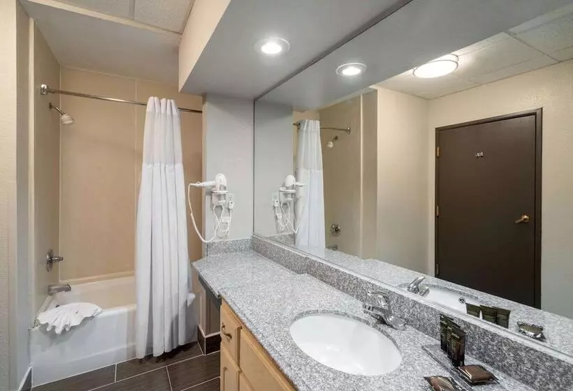 Standard-huone 2 Parivuodetta, Wingate By Wyndham Memphis East