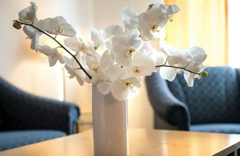 １ベッドルームアパートメント, Victor S Residenz Hotel Gummersbach