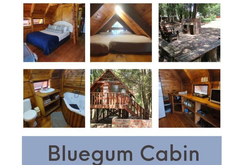 一居室别墅, Plett Forest Cabins