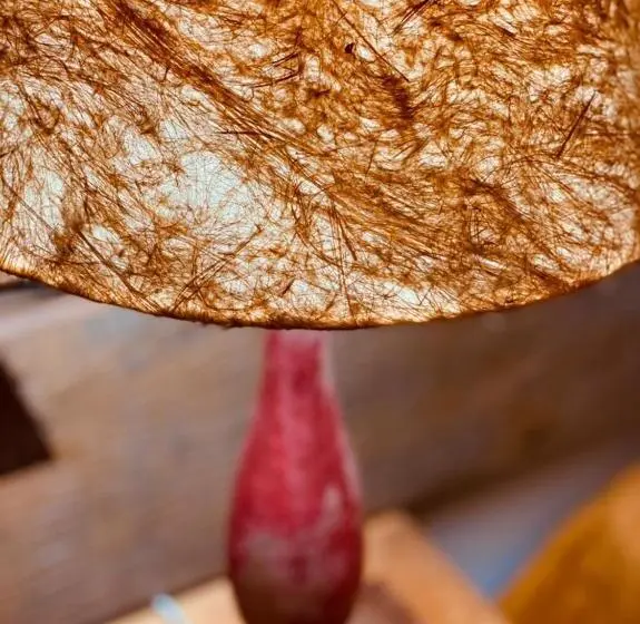 اتاق لوکس خانوادگی, Pousada Charlotte