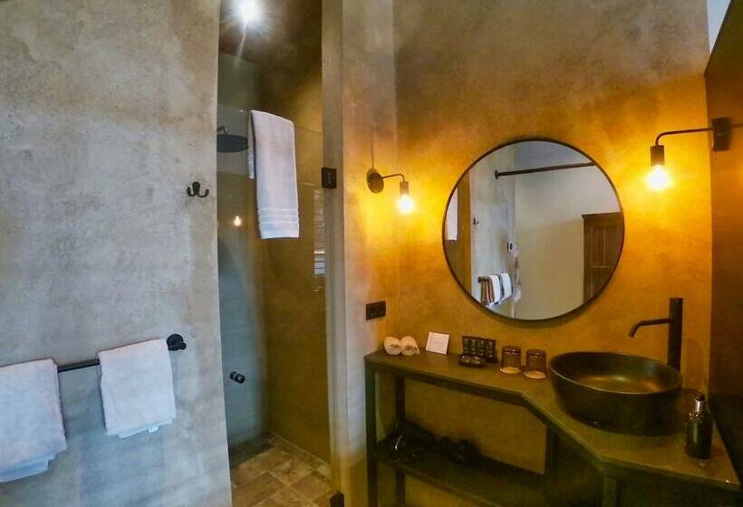 חדר סטנדרט, Broederenklooster