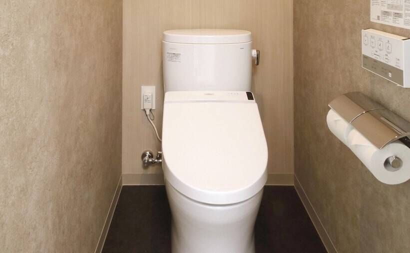 Camera Standard, Lestel Maru