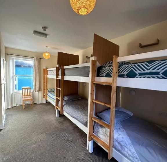 سرير فى غرفة مشتركه, The Grapevine Hostel