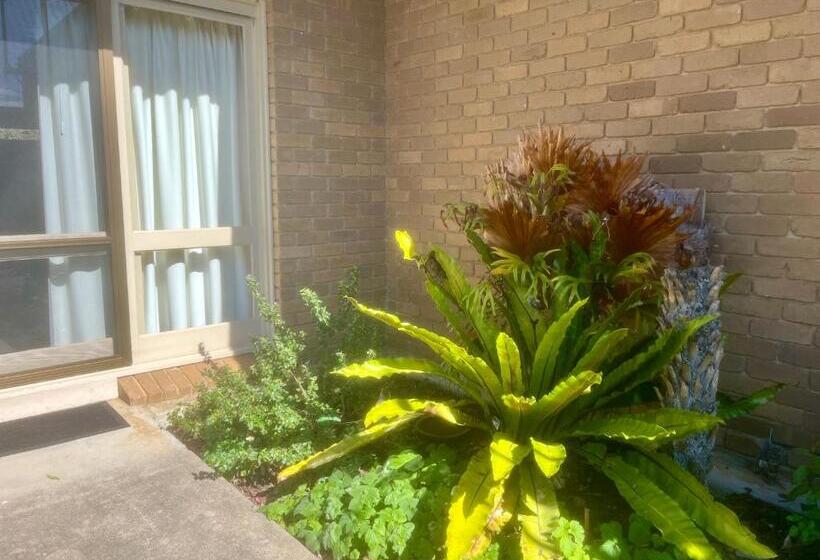 דירת חדר, Gowings Of Mallacoota