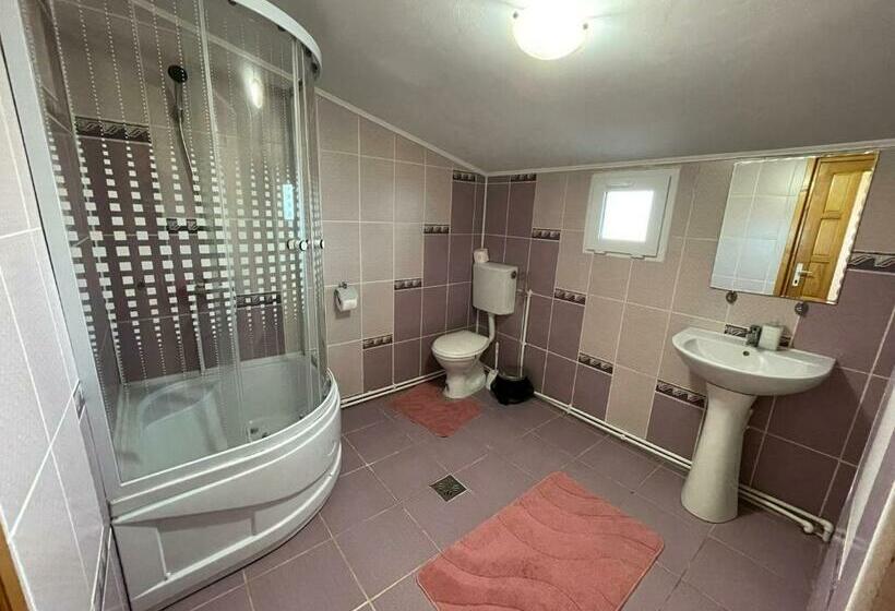 标准间, Pensiunea Alina