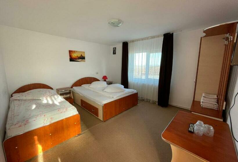 标准三人间, Pensiunea Alina