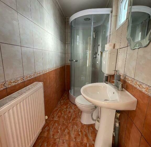 标准三人间, Pensiunea Alina