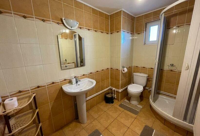 标准三人间, Pensiunea Alina