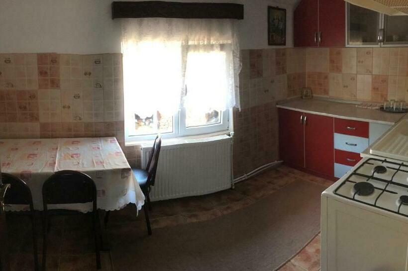 家庭套房, Pensiunea Alina