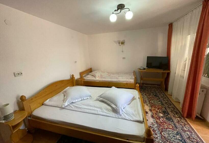 家庭套房, Pensiunea Alina