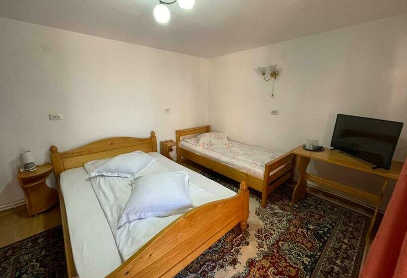 家庭套房, Pensiunea Alina