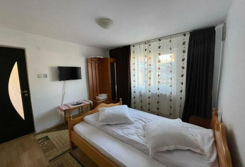 家庭套房, Pensiunea Alina