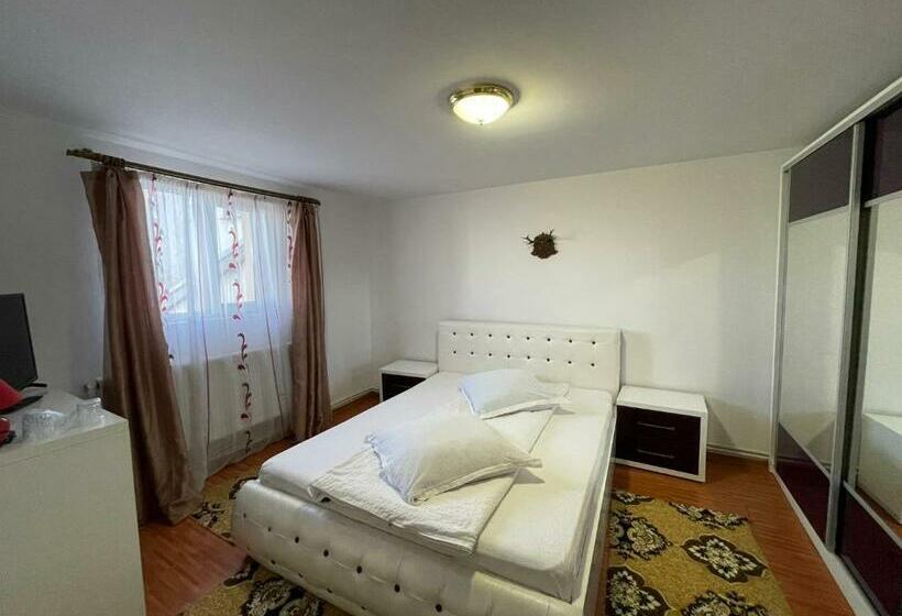 家庭套房, Pensiunea Alina