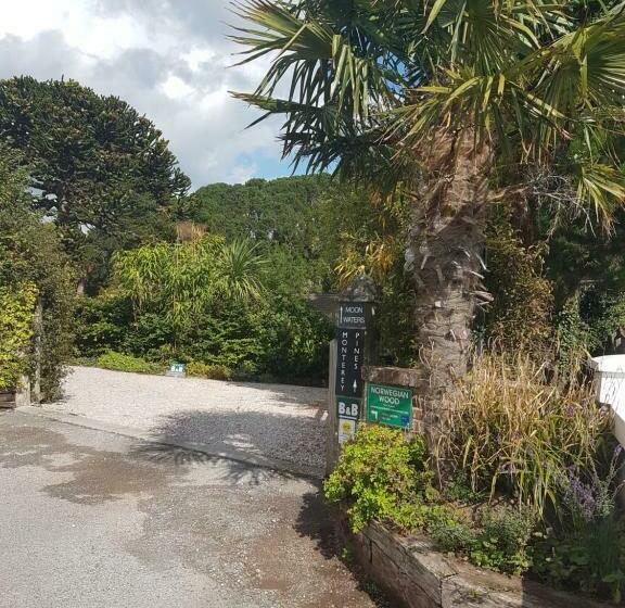 شقة غرفتين, Norwegian Wood