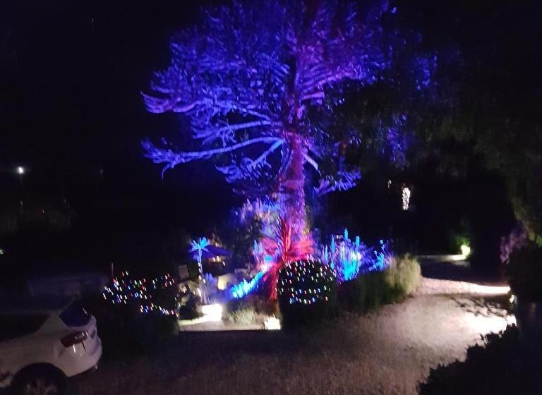 شقة غرفتين, Norwegian Wood