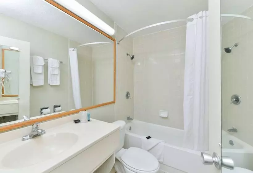 ダブルベッドスタンダードルーム, Americas Best Value Inn Sarasota
