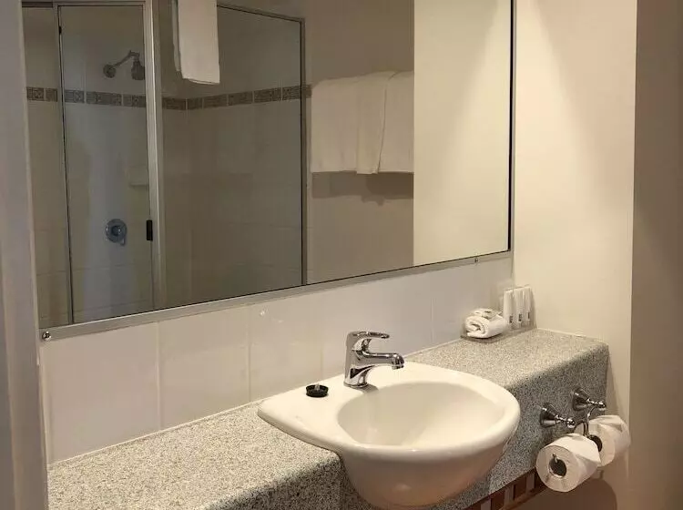 اتاق استاندارد با تخت بزرگ, Burnett Riverside