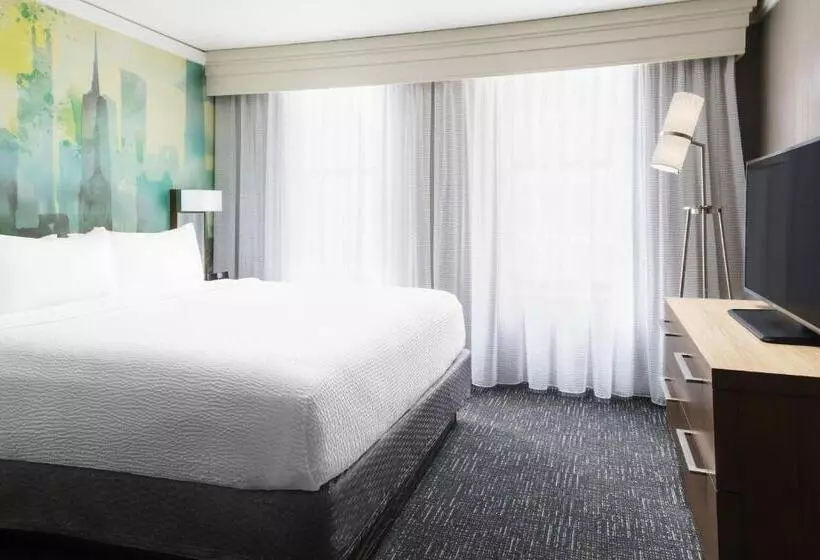 اتاق لوکس با تخت بزرگ, Courtyard Chicago Downtown/magnificent Mile