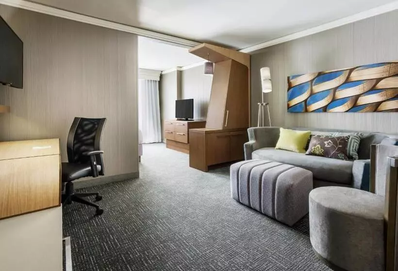 اتاق لوکس با تخت بزرگ, Courtyard Chicago Downtown/magnificent Mile