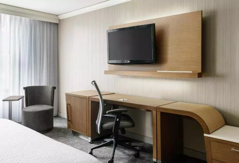 اتاق لوکس با تخت بزرگ, Courtyard Chicago Downtown/magnificent Mile