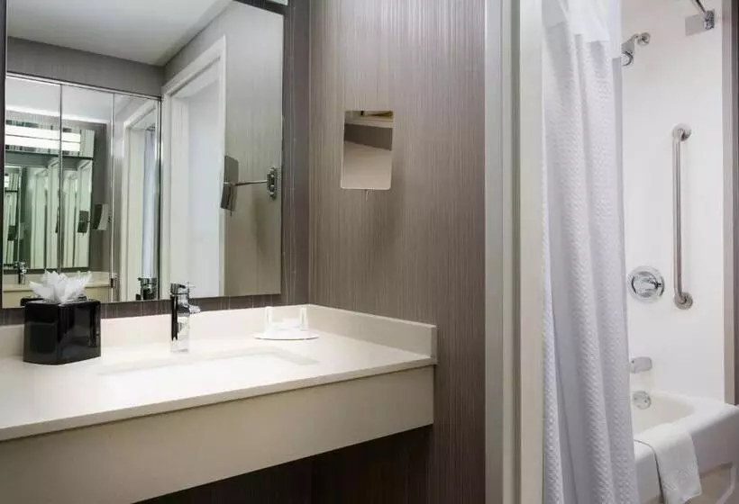 اتاق استاندارد با 2 تخت دوبل, Courtyard Chicago Downtown/magnificent Mile