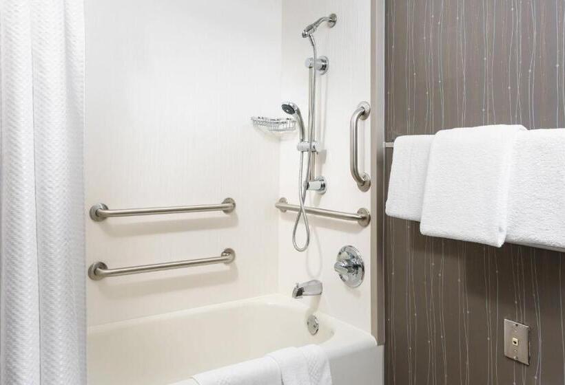 适合残疾人使用的标准间, Courtyard Chicago Downtown/magnificent Mile