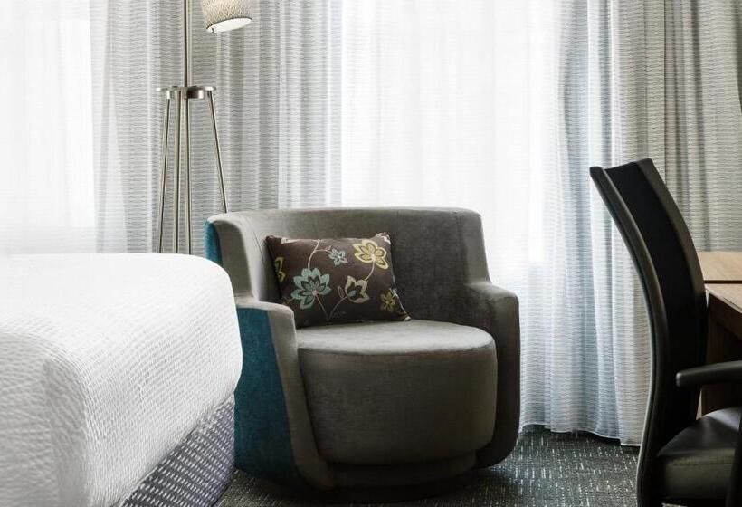 带城市景观的标准间, Courtyard Chicago Downtown/magnificent Mile