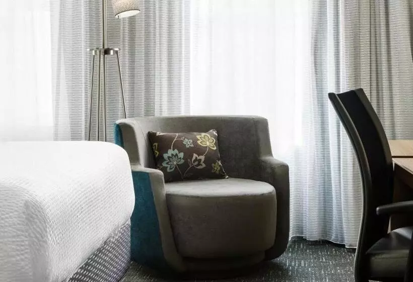 اتاق استاندارد با چشمانداز شهر, Courtyard Chicago Downtown/magnificent Mile