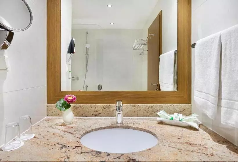 اتاق سوپریور با تخت بزرگ, Holiday Inn Nürnberg City Centre, An Ihg
