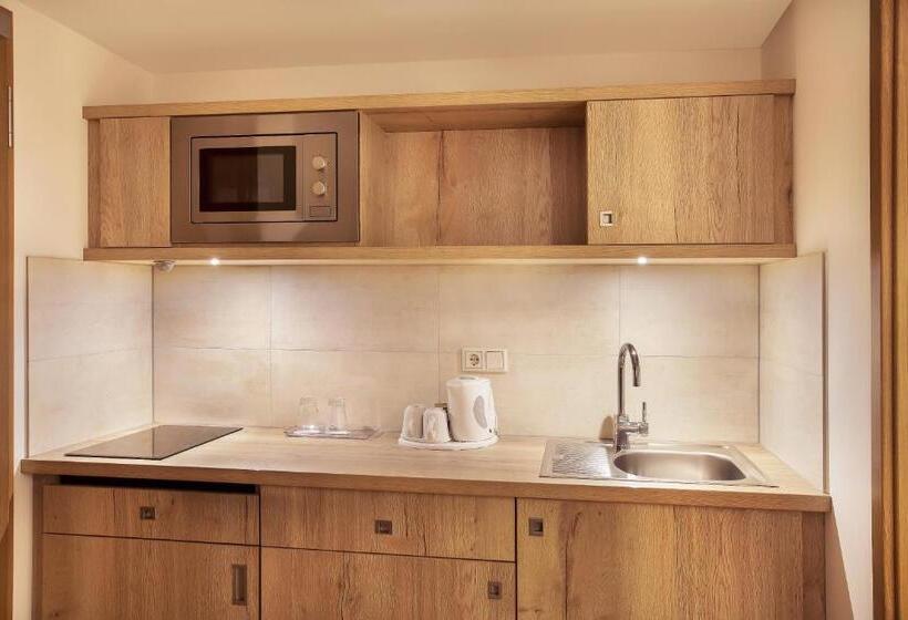 Апартаменты 1 Спальня, Holiday Inn Nürnberg City Centre, An Ihg