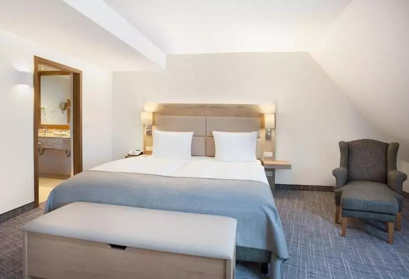 اتاق استاندارد با تخت بزرگ, Holiday Inn Nürnberg City Centre, An Ihg