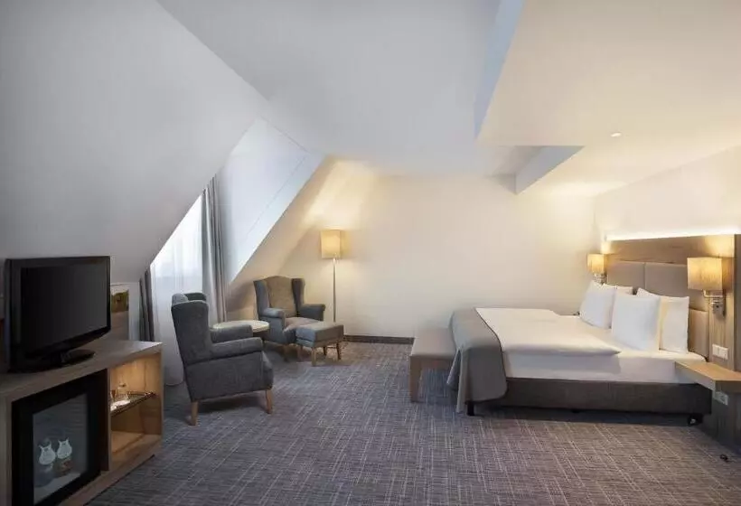 اتاق استاندارد با تخت بزرگ, Holiday Inn Nürnberg City Centre, An Ihg